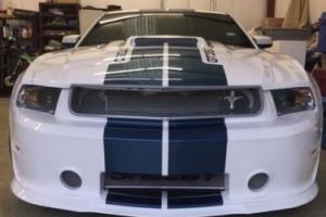 2011 Ford Shelby Photo