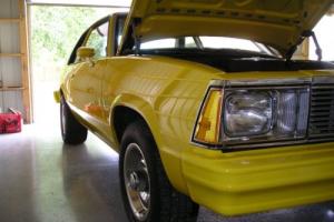1980 Chevrolet Malibu Photo