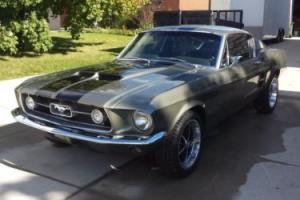 Ford: Mustang Mustang Fastback