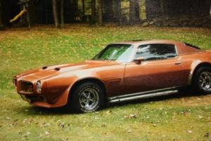 1971 Pontiac Firebird Photo