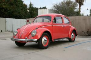 1957 Volkswagen Beetle - Classic Photo