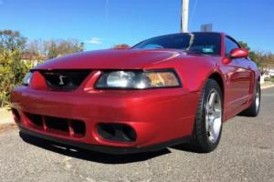 2003 Ford Mustang -- Photo