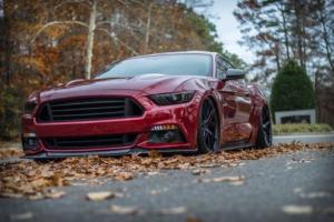 2015 Ford Mustang PP Photo