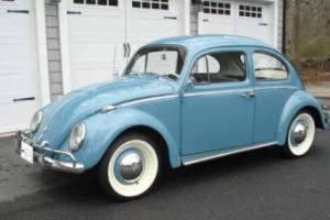 1961 Volkswagen Beetle - Classic Photo