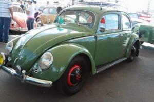 1954 Volkswagen Beetle - Classic Photo
