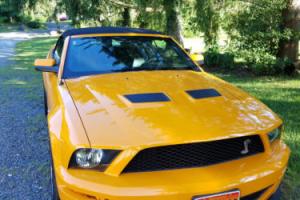 2008 Ford Mustang GT500 Photo