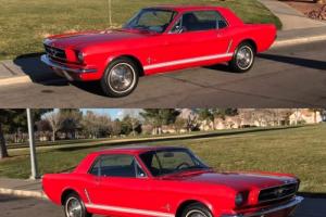 1965 Ford Mustang RED PONY 6 CYLINDER COUPE RED BLACK 1965 1966 1964 Photo
