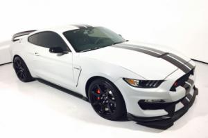 2016 Ford Mustang Shelby GT350R Photo