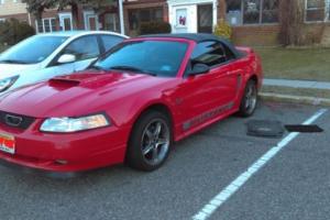 2000 Ford Mustang GT Photo