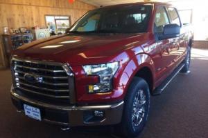 2017 Ford F-150 302A Photo