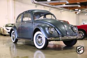 1954 Volkswagen Beetle-New -- Photo