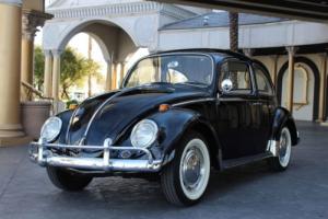 1966 Volkswagen Beetle - Classic beetle