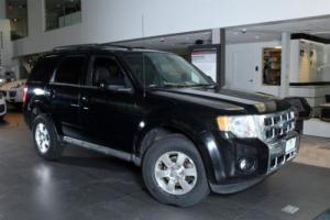 2010 Ford Escape Limited Photo