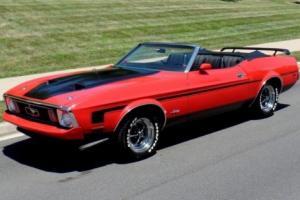 1973 Ford Mustang Mach 1 Convertible Photo