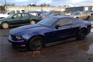 2010 Ford Mustang V6 Photo