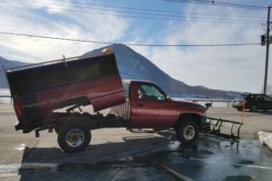 1995 Dodge Other Pickups Photo