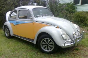 63 VW Beetle Photo