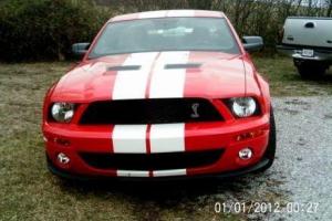 2007 Ford Mustang GT 500 Shelby Cobra