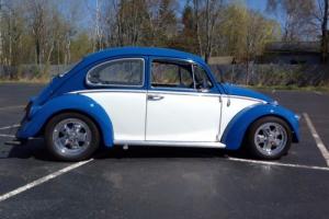 1965 Volkswagen Beetle - Classic Photo