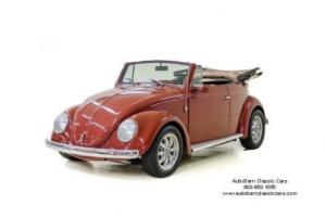 1977 Volkswagen Beetle-New -- Photo