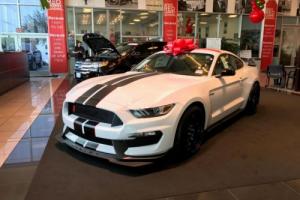 2017 Ford Mustang Shelby GT350R Photo