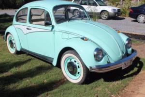 1970 VW Beetle Photo