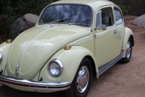 1969 Volkswagen Beetle - Classic classic Photo