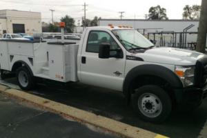 2015 Ford F-550 Photo