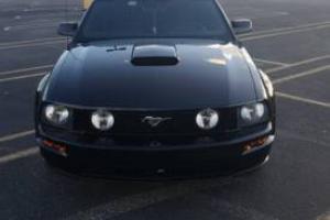 2009 Ford Mustang GT Photo