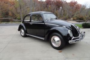 1961 Volkswagen Beetle - Classic Beetle Photo