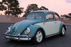 1964 Volkswagen Beetle - Classic Restored VW beetle Photo