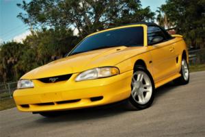 1998 Ford Mustang GT Photo
