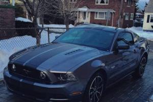 2013 Ford Mustang 2dr Coupe GT Photo