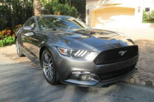2015 Ford Mustang ECOBOOST Photo