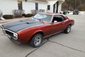 1968 Pontiac Firebird Photo