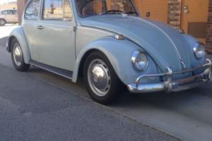 1967 Volkswagen Beetle - Classic Photo