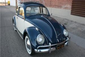1960 Volkswagen Beetle - Classic -- Photo