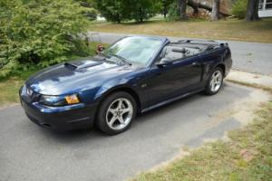 2003 Ford Mustang GT Photo