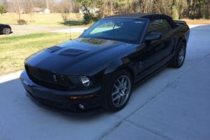 2007 Shelby GT 500  GT 500 Photo