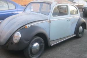 VW Beetle &#039;67 Model Photo