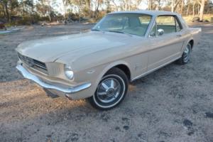 Mustang 1965 Auto 302