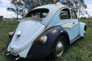 VW Beetle Car Photo