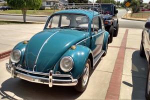 1966 Volkswagen Beetle - Classic Sedan Photo
