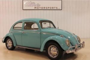 1962 Volkswagen Beetle-New -- Photo