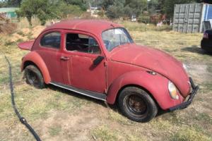 1965 VW beetle