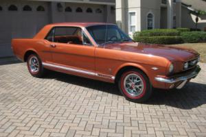 1966 Ford Mustang GT-A Photo