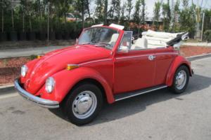 1970 Volkswagen Beetle - Classic Bug Photo
