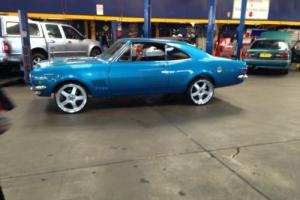 hk monaro