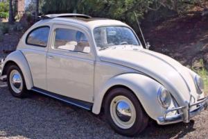 1962 Volkswagen Beetle - Classic Rag Top Photo