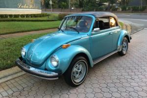 1979 Volkswagen Beetle-New Conv Photo
